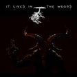 Icon of program: ItLivesInTheWoods