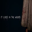 Ícone do programa: ItLivesInTheWoods