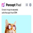 Programikonen: PerceptPixel Image Transf…