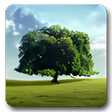 Icoon van programma: Nature Wallpaper