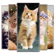 Icoon van programma: Cat Wallpapers