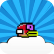 Ikon program: Flying Bird 2