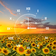 プログラムのアイコン：Flower Clock Live Wallpap…