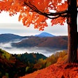 أيقونة البرنامج: Autumn HD Wallpapers New …