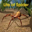 Life Of Spider