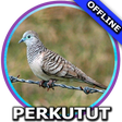 Ikon program: Suara Burung Perkutut Mp3