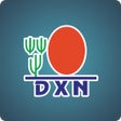 程序图标：DXN APP