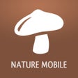 Icône du programme : Mushrooms PRO - Hunting S…