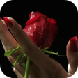 プログラムのアイコン：Girl And Rose Live Wallpa…
