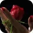 Girl And Rose Live Wallpaper