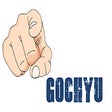 Symbol des Programms: Gochyu - Theme Detector