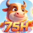 Programın simgesi: 75HSway
