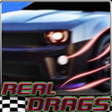 プログラムのアイコン：Real Drags