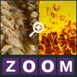Icoon van programma: Zoom Quiz - Guess what is…