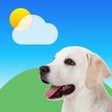 Ikon program: Paw Weather  Forecast  Ra…