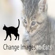 Ícone do programa: Change Images to Cats
