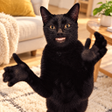 프로그램 아이콘: Clapping Cat AR Camera