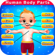 Human Body Parts - Preschool Kids Learning Games