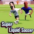 Programın simgesi: super liquid soccer