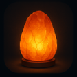 程序图标：Salt Lamp Night Light