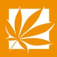 程序图标：Holland Daze