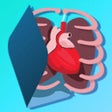 Ikon program: Anatomia Humana - EvoBook…