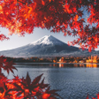 Иконка программы: Japan Wallpaper