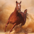 程序图标：Horse Run