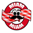 プログラムのアイコン：MiamMiam