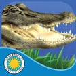 ไอคอนของโปรแกรม: Alligator at Saw Grass Ro…