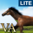 Icon of program: VA Horse Wallpaper LITE