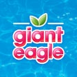 Иконка программы: Giant Eagle