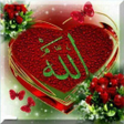 程序图标：Quran and Hadith