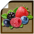 Icon of program: Справочник ягод