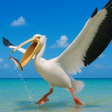 プログラムのアイコン：The Pelican