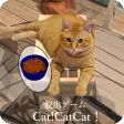 脱出ゲーム CatCatCat