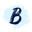 프로그램 아이콘: Brisa  dein MS Begleiter