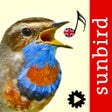 Bird Song Id UK icon