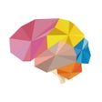 ไอคอนของโปรแกรม: Brain Wars