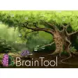 BrainTool - Beyond Bookmarks