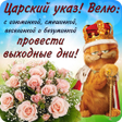 プログラムのアイコン：Пожелания на каждый день …