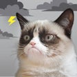 Иконка программы: Grumpy Cats Funny Weather