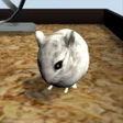 Icon of program: Hamster3D