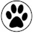 Icon of program: Auto Apply Dog - Indeed