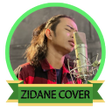 Icon of program: Zinidin Zidan Cover Offli…