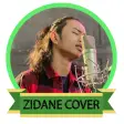 Zinidin Zidan Cover Offline