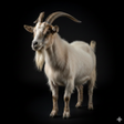 プログラムのアイコン：Appp.io - Goat Sounds