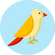 程序图标：What kind of bird are you…