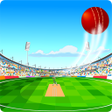プログラムのアイコン：Crazy Cricket