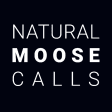Natural Moose Calls